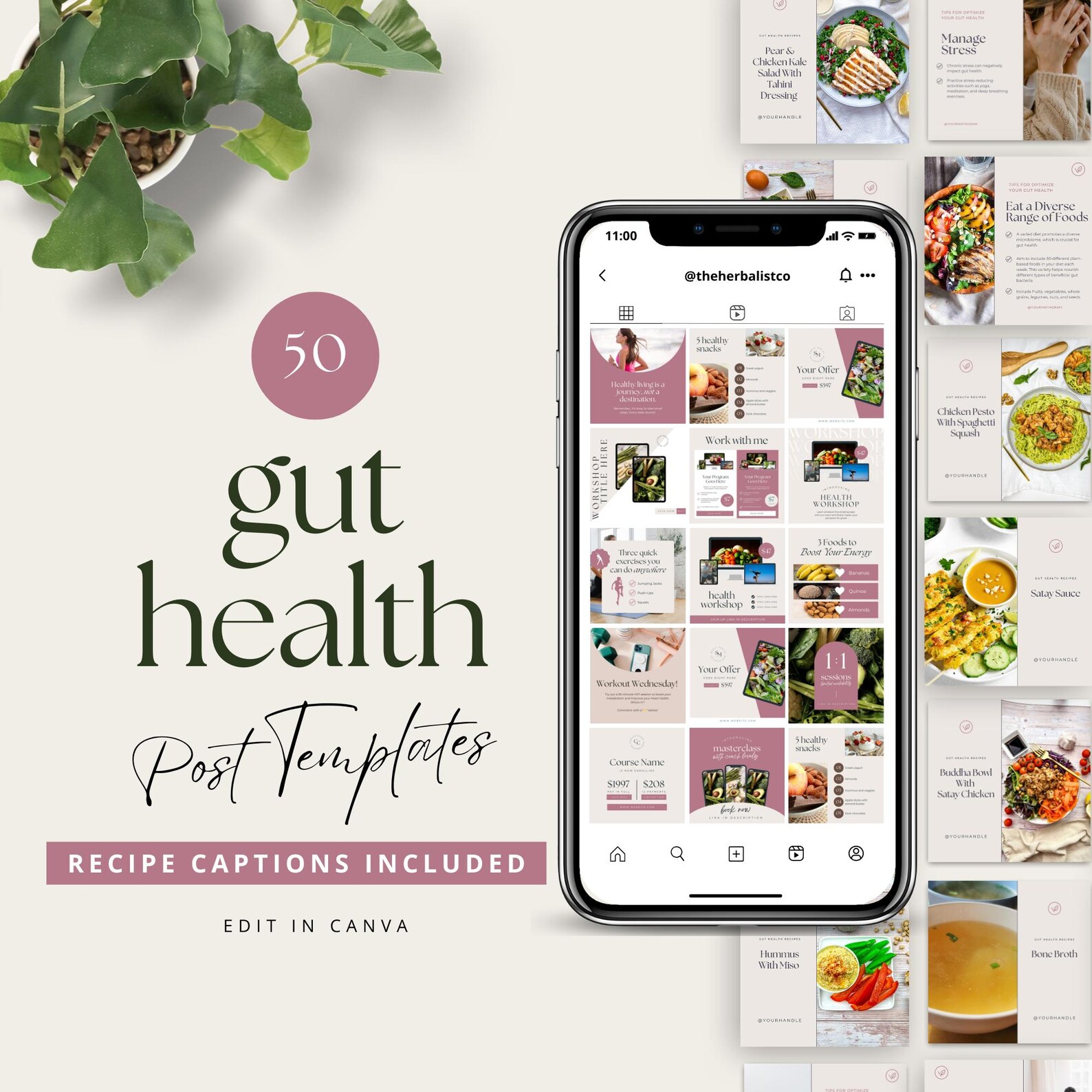 Gut Health Post Templates
